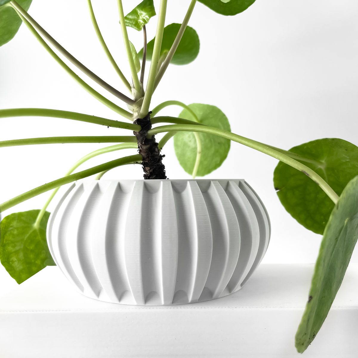 Cache-pot Alden avec soucoupe imprimé en 3D - pot de fleurs design 15 cm, décoration intérieure, fabriqué en France — impression 3D par Manu3D