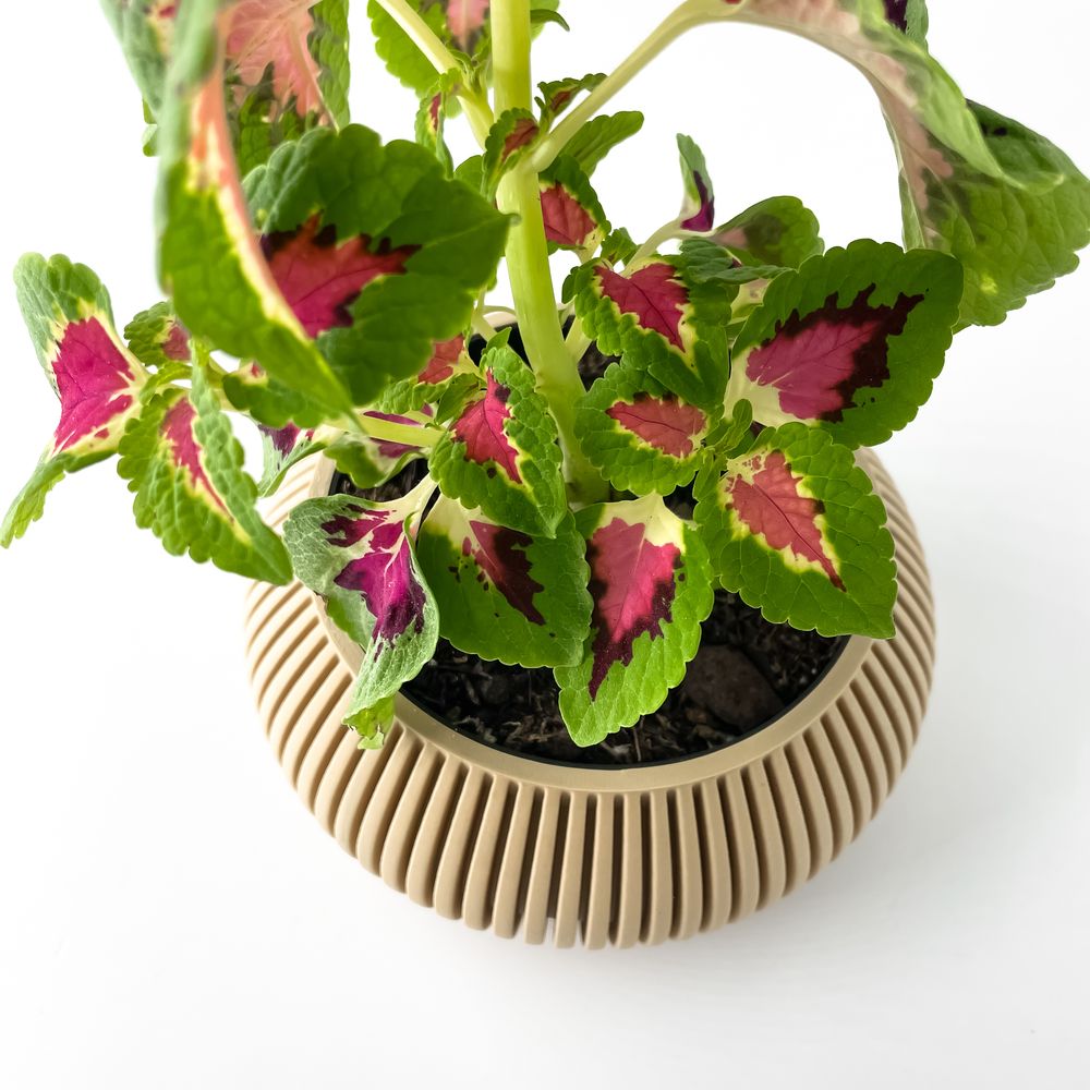 Cache-pot Torme imprimé en 3D - pot de fleurs design 16 cm, décoration intérieure contemporaine, fabriqué en France — impression 3D par Manu3D